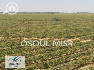 زراعي  للبيع في الشيخ زايد، الجيزة - WhatsApp Image 2023-06-11 at 10.55. 22 AM. jpeg