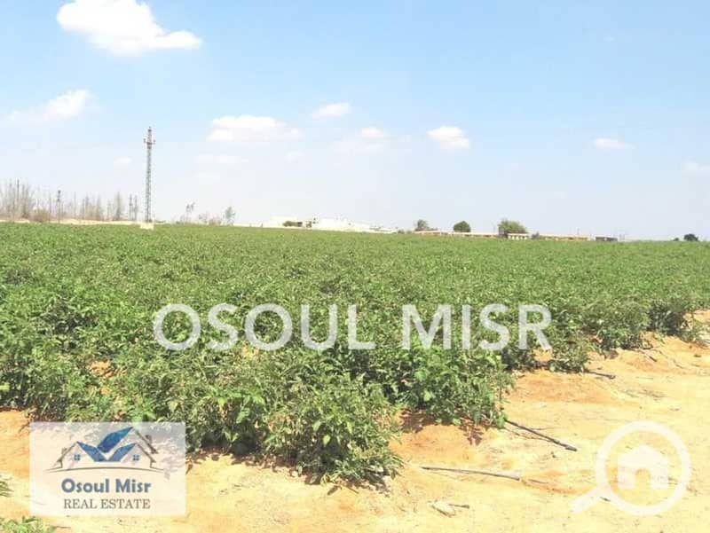 2 WhatsApp Image 2023-06-11 at 11.15. 47 AM (3) - Copy. jpeg