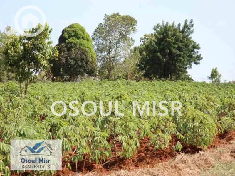 4 WhatsApp Image 2023-06-11 at 11.15. 47 AM (4) - Copy. jpeg