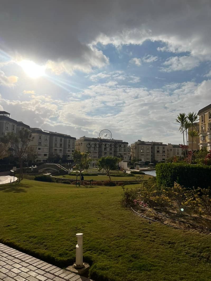 4 4ead14a6-357c-4f85-9ef7-cfbc3dac85b2. jpg