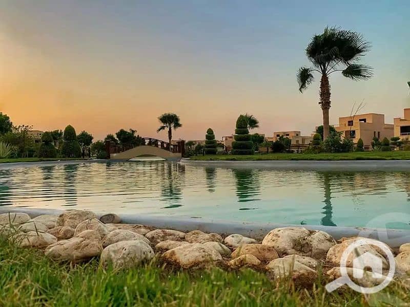 5 647f49969ef04620418824. jpg