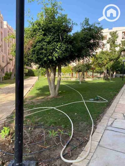 شقة 3 غرف نوم للبيع في القاهرة الجديدة، القاهرة - IMG-20260110-WA0036. jpg