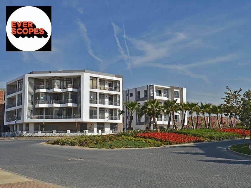 15 74341541_2619384151643643_484023230640770602_n. jpg