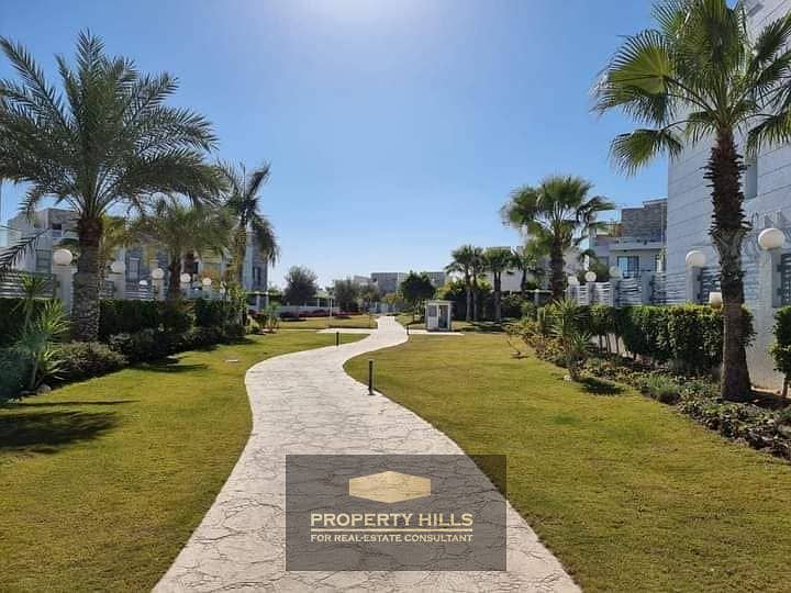 2 417498446_936887987999761_4371194027542128740_n. jpg