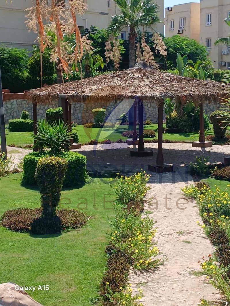 5 b5de5fbb-3c06-45a5-85c6-824aa43af1b4. jpg