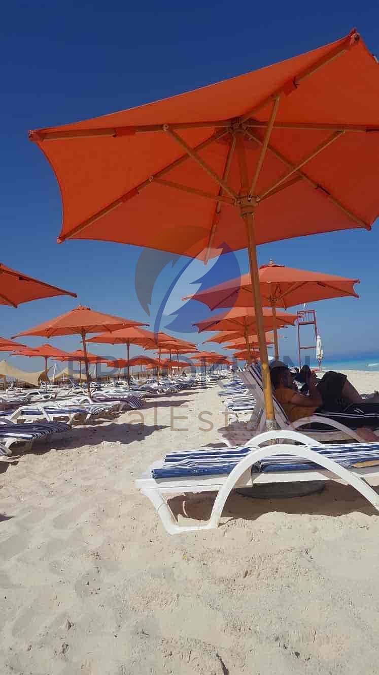 6 7db1981c-16b9-4dda-869a-fde06ac4c534. jpg