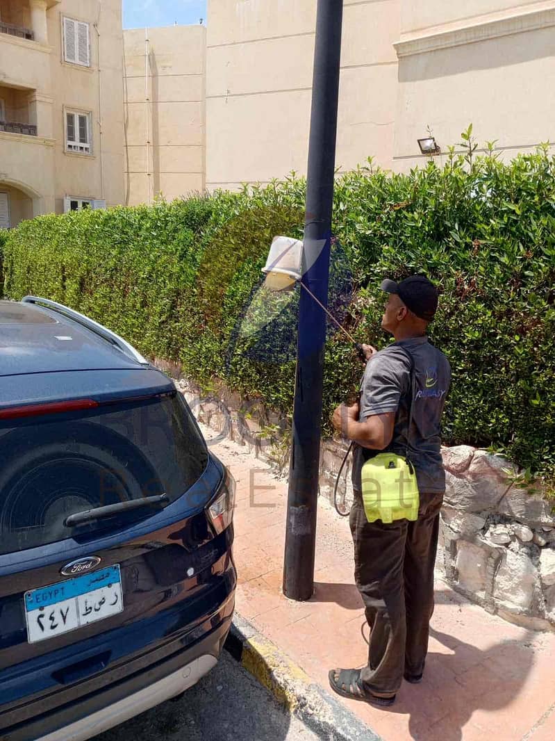 12 eaf440a6-4e96-49b7-adb4-751ec4f519df. jpg