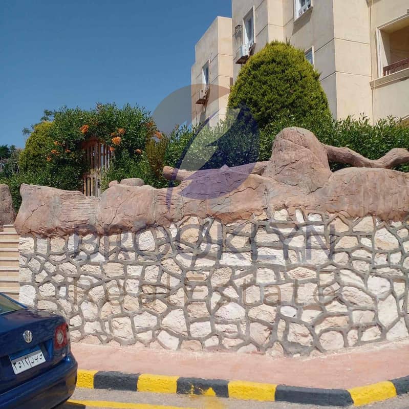 16 d353f893-101e-4175-94a2-c7e6e414cee2. jpg