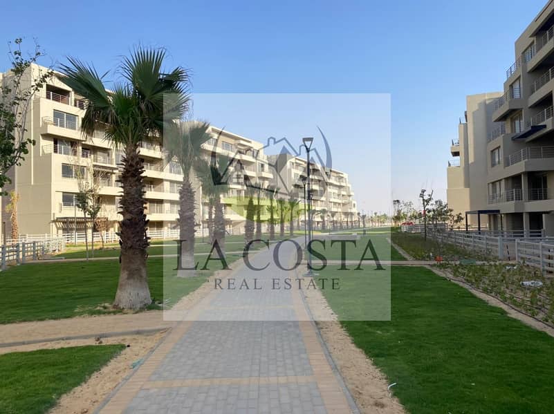 4 WhatsApp Image 2024-10-09 at 4.53. 18 AM (4). jpeg