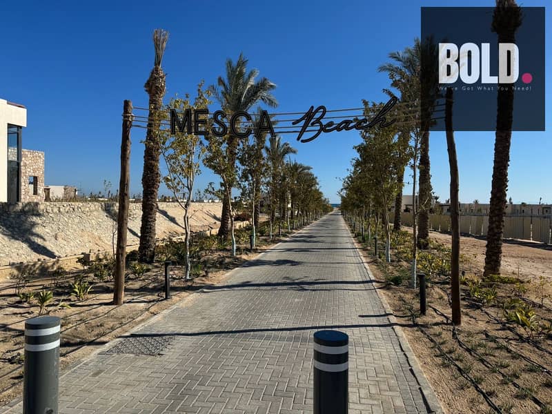 13 WhatsApp Image 2026-01-20 at 2.36. 20 PM. jpeg