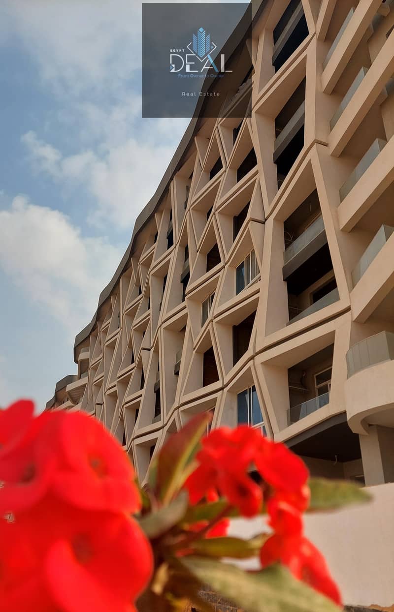 17 condododod (21). jpeg