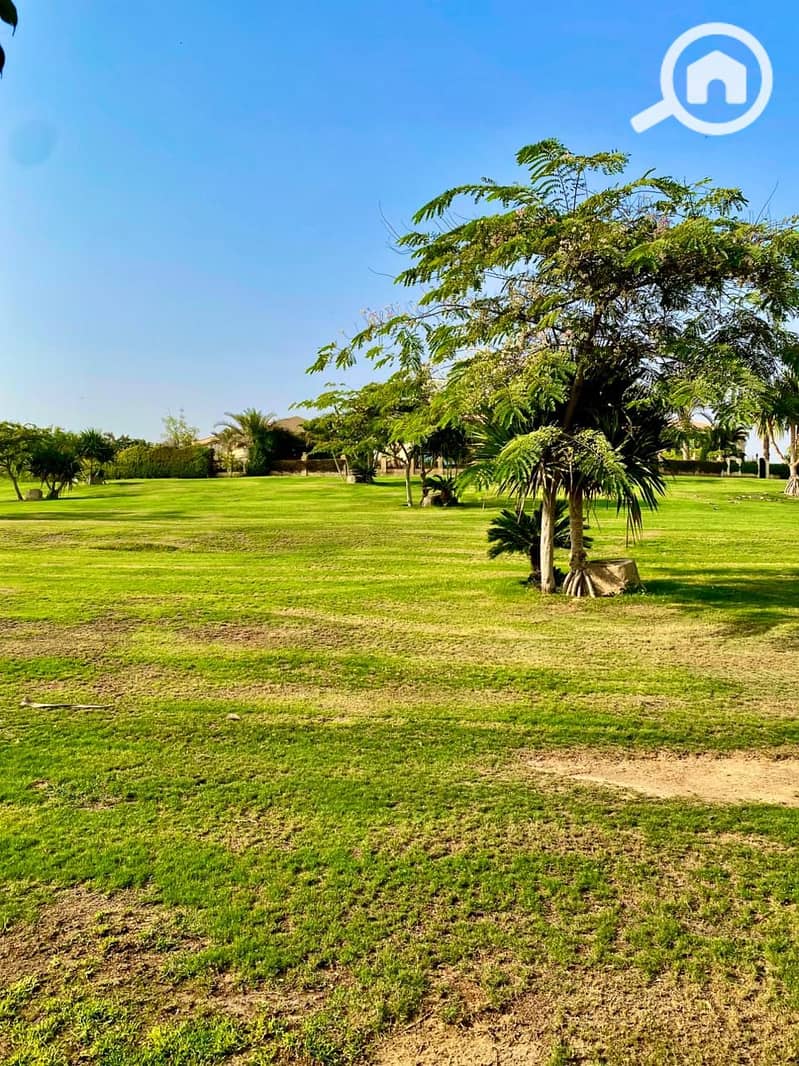 11 e94a42b7-0c5a-4196-9890-1fb58dc88c7c. jpg