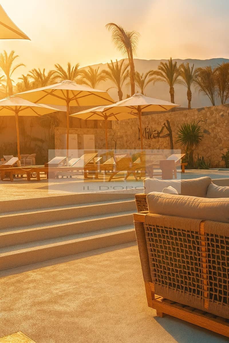 4 WhatsApp Image 2026-01-19 at 5.20. 33 PM (2). jpeg