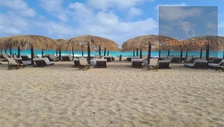 4 WhatsApp Image 2026-01-20 at 4.58. 54 PM - Copy (2) - Copy. jpeg