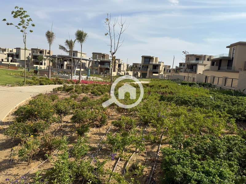 10 5229bb80-f528-490a-80fa-e6b1c6a5fab2. jpeg