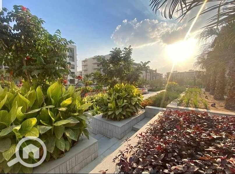 11 463330959_2875970319226977_8690610566918113766_n. jpg