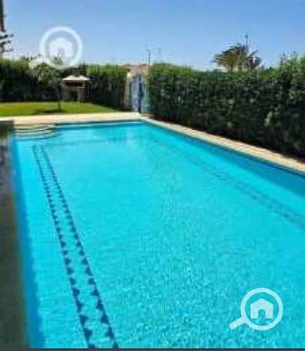 13 Screenshot_35. png