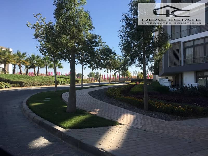 5 8f525a05-b20b-4d8e-be46-b8bbd0808e35. jpg