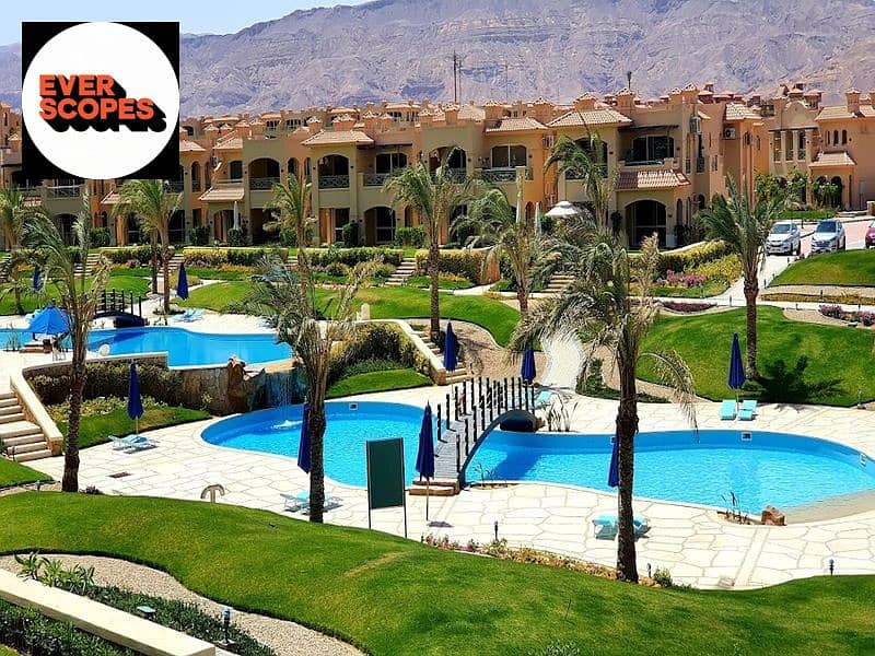 11 2021-05-14 (1). jpg