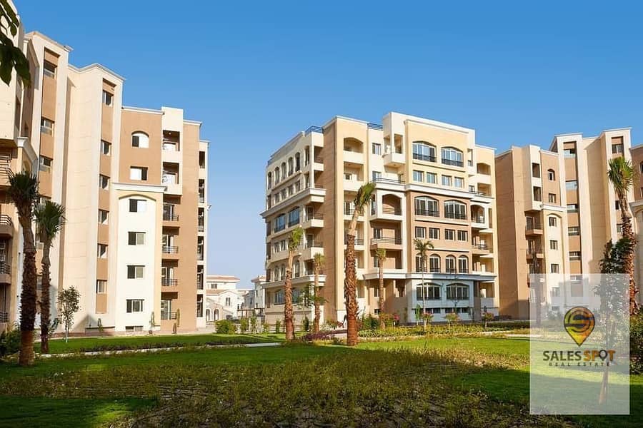 13 e220129a-263e-46cf-9819-9615f3281202. jpg