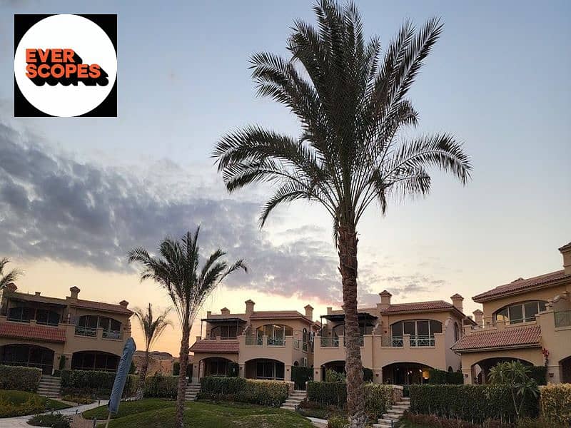 7 2023-01-06 (3). jpg