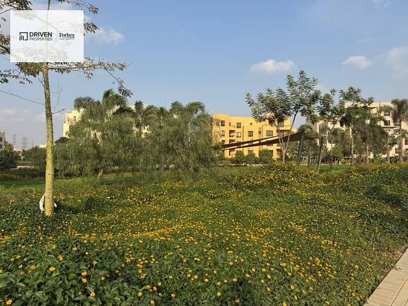 6 e5811fa4-d4a1-4f7f-b812-4cadf9faf3a9. jfif. jpg