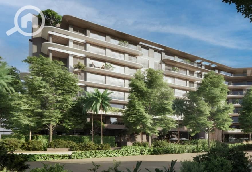 14 original (4). jpg