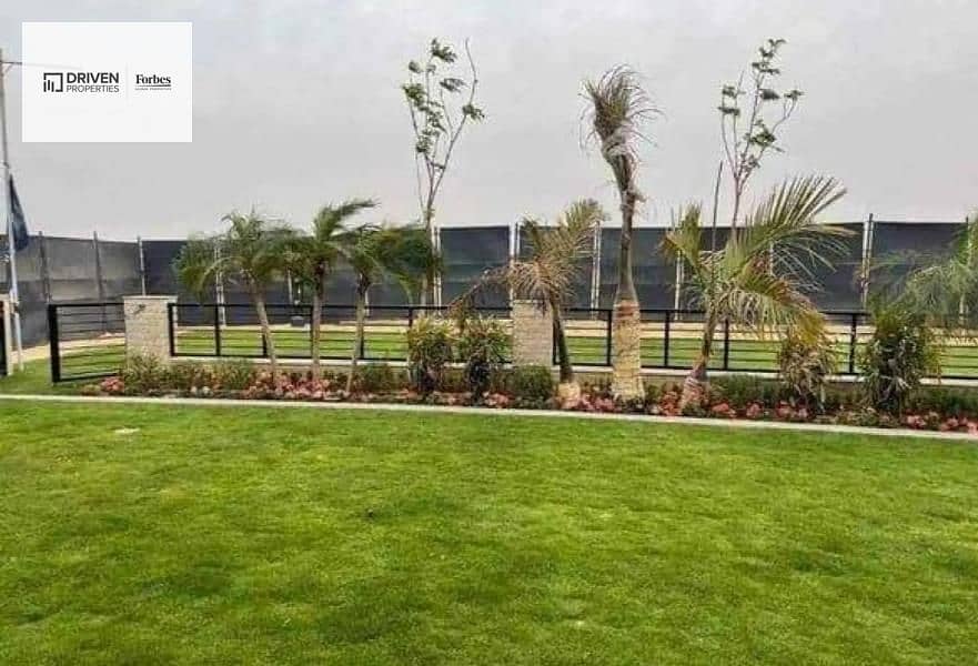 3 vye sodic (4). jpg