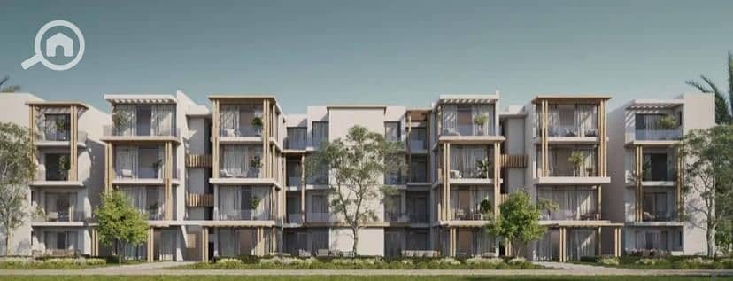 3 WhatsApp Image 2026-01-20 at 5.19. 06 PM (1). jpeg