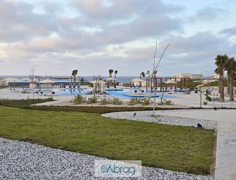 4 36091cbc-35e3-40c6-a909-e00c19951c37. jpeg