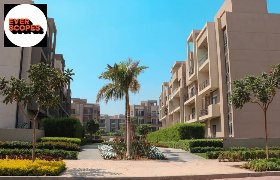 10 438160506_403177662572286_2272481159344139867_n. jpg