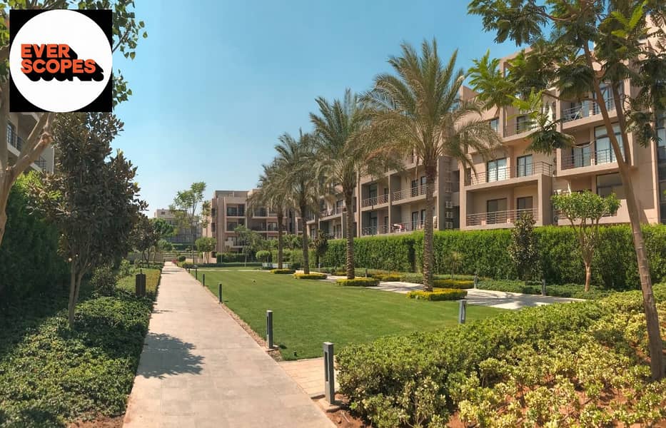 11 438165735_403177929238926_1745620247073044229_n. jpg