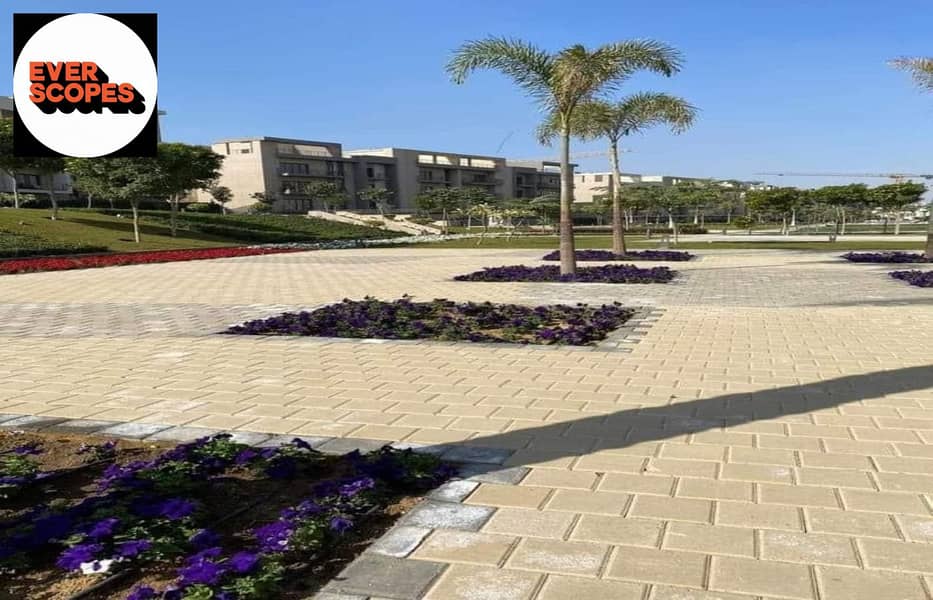 12 441161364_843029607646152_1132398427947292123_n. jpg