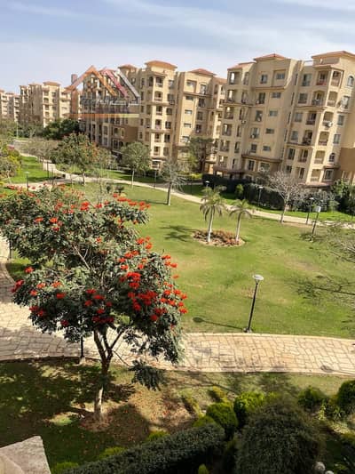 3 Bedroom Apartment for Rent in Madinaty, Cairo - 991d33de-b83c-4892-97de-63ab03a86f79. jpg