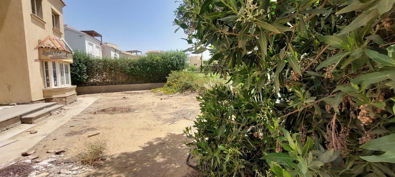 4 bc6e3d2c-005f-440c-9066-b058dabe3ee9. jpg