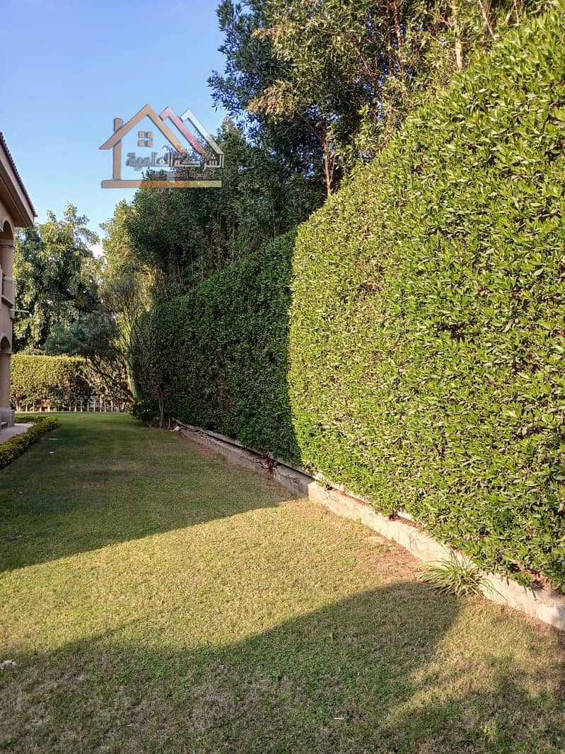 5 37767a74-8a4f-4bdb-b1f1-27781066e441. jpg