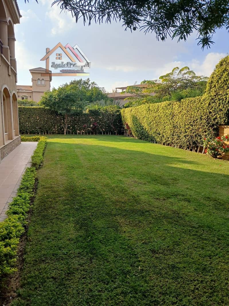 6 80441d6e-b477-4eb1-b67d-39e39cdb2477. jpg