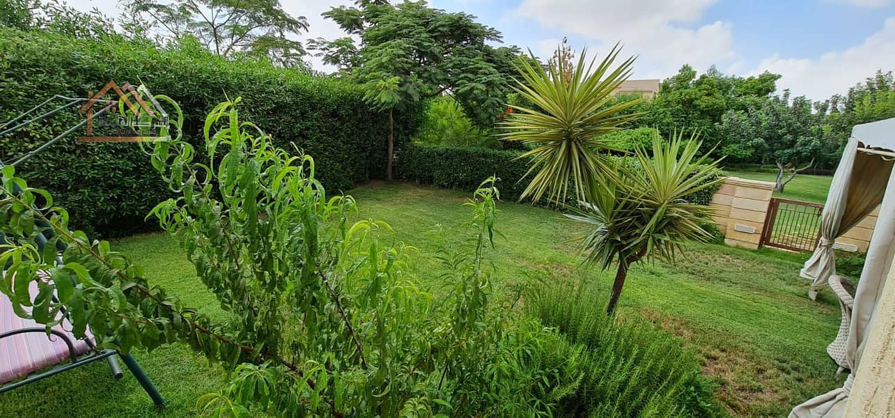 10 48e13bed-dbe0-4b97-a722-6c22d19b21f3. jpg