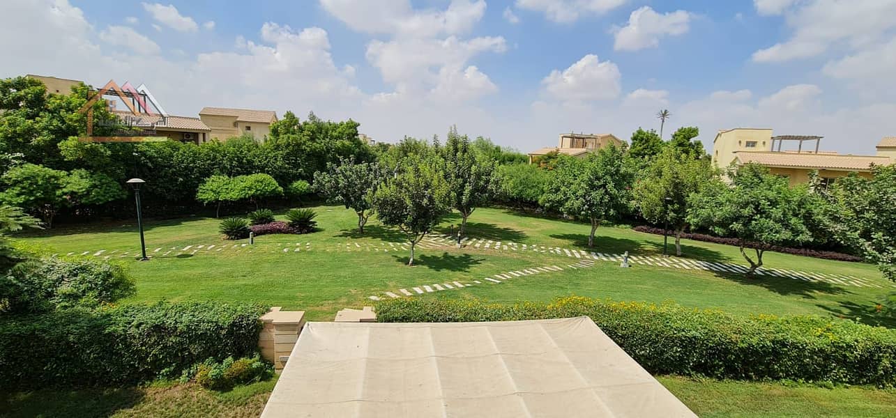 11 68d30514-626f-437c-b8fb-dea11734dcf5. jpg