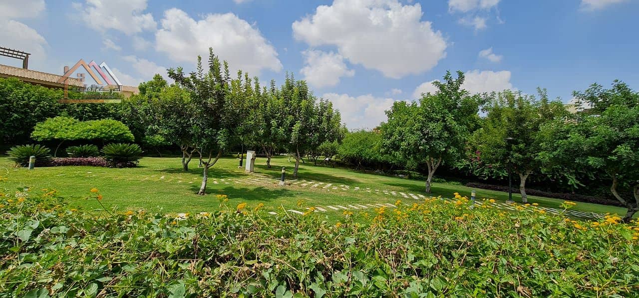 14 b31e2c5f-a93b-4cd0-a822-7fb28b5b0a62. jpg