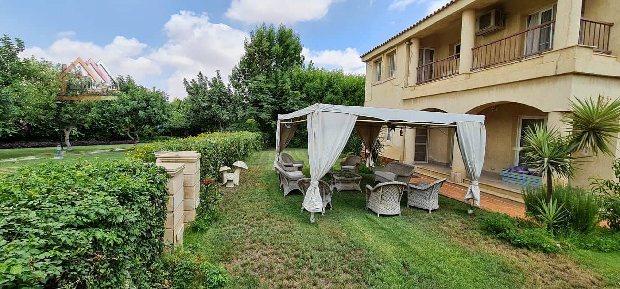 20 d582c00d-df52-4e40-82d1-64dc6272a177. jpg