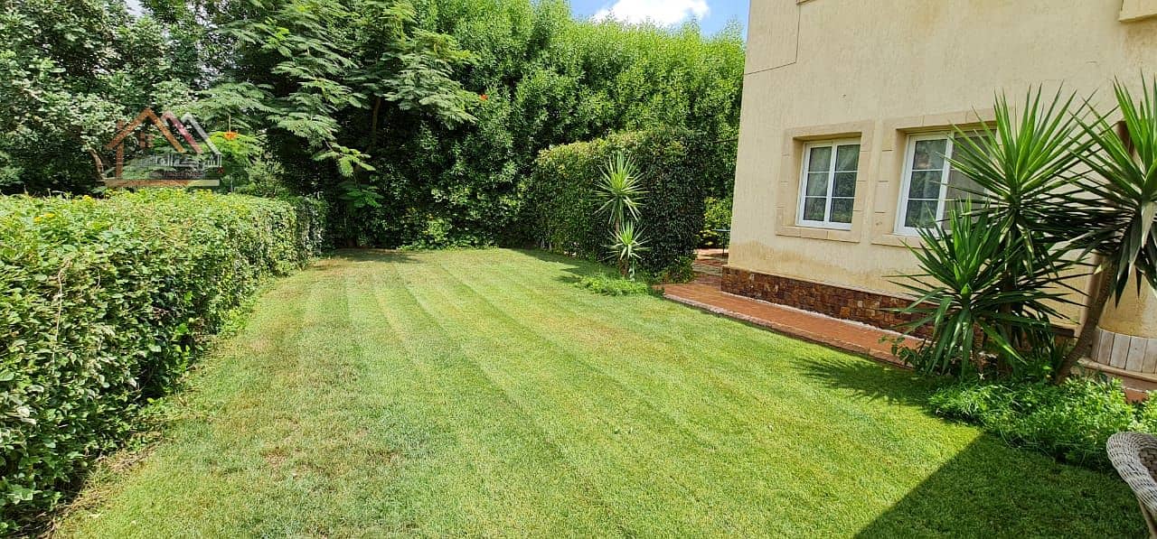 21 e61011e3-db6a-46ad-9118-7f7baed77011. jpg