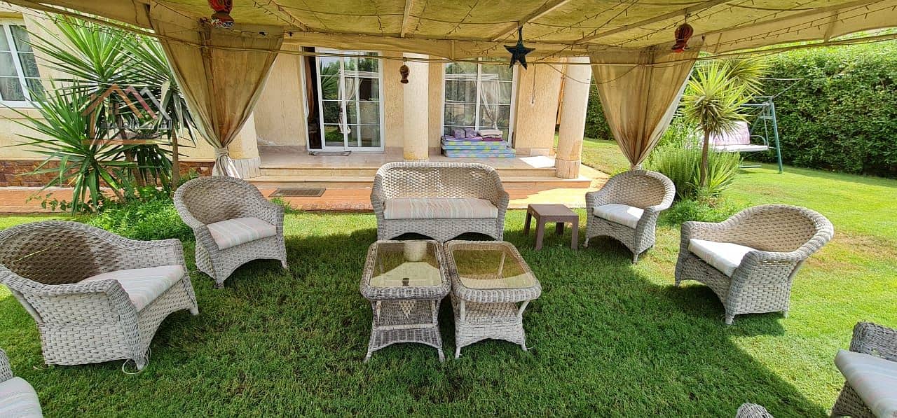 23 ff2248e0-02e0-44a2-b5a4-dc5773ffff0f. jpg