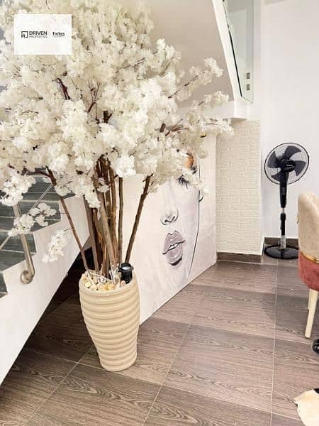 3 5a2b5b07-a1c7-4edf-8469-8843f6d98911. jfif. jpg