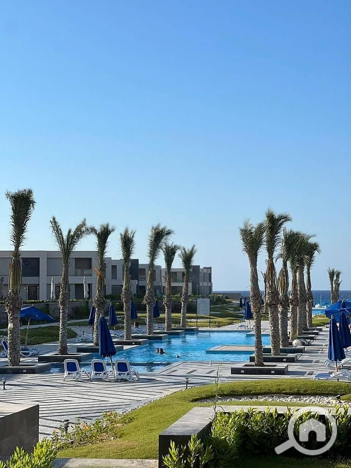 8 499862696_122134100390652964_9064179690524267217_n. jpg