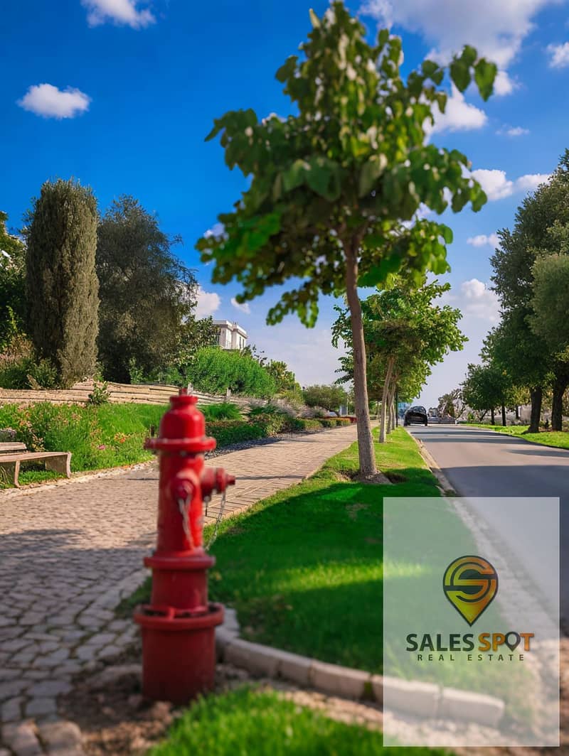 10 WhatsApp Image 2025-04-10 at 17.25. 44_f17cac5e. jpg