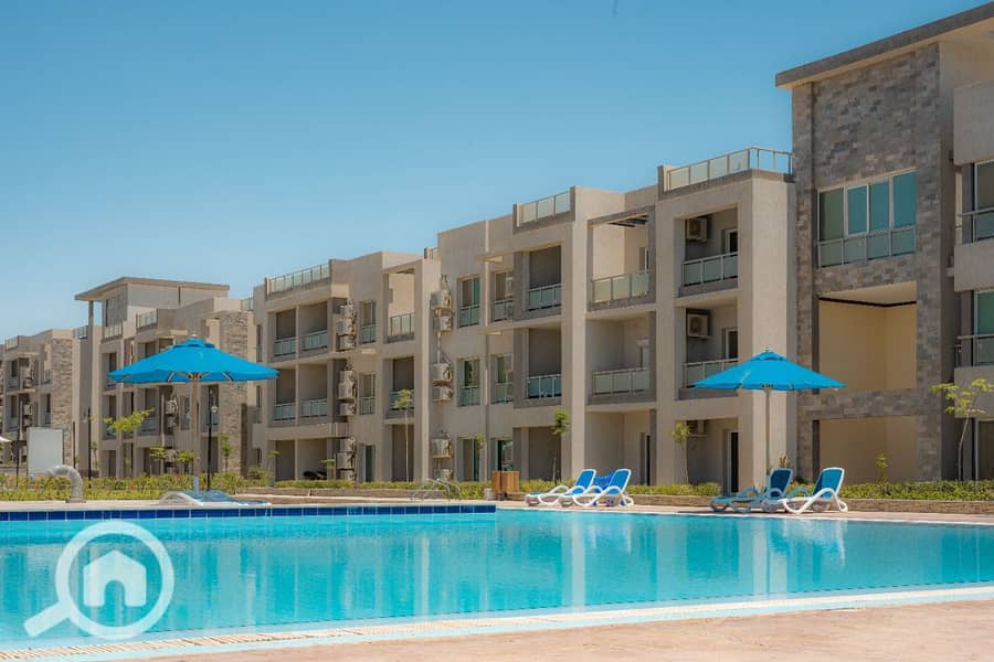 4 8f100861-040f-4c69-b222-2931e3ed9bfb. jpg