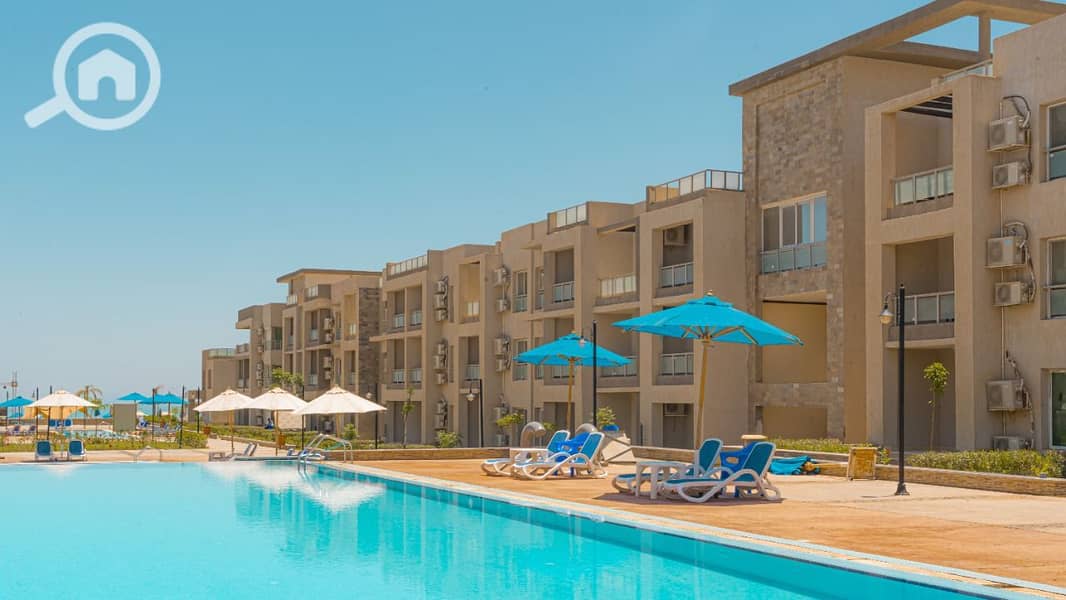 8 e302c06d-720d-4cb0-a4b9-46f8356880cb. jpg