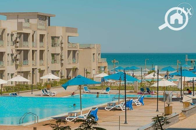 10 13848003-600x450. jpeg