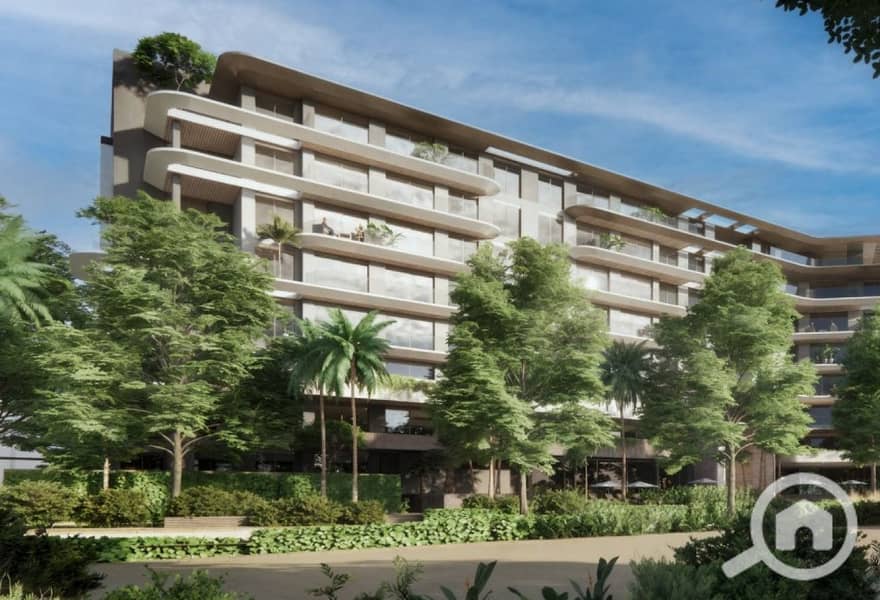 14 original (4). jpg